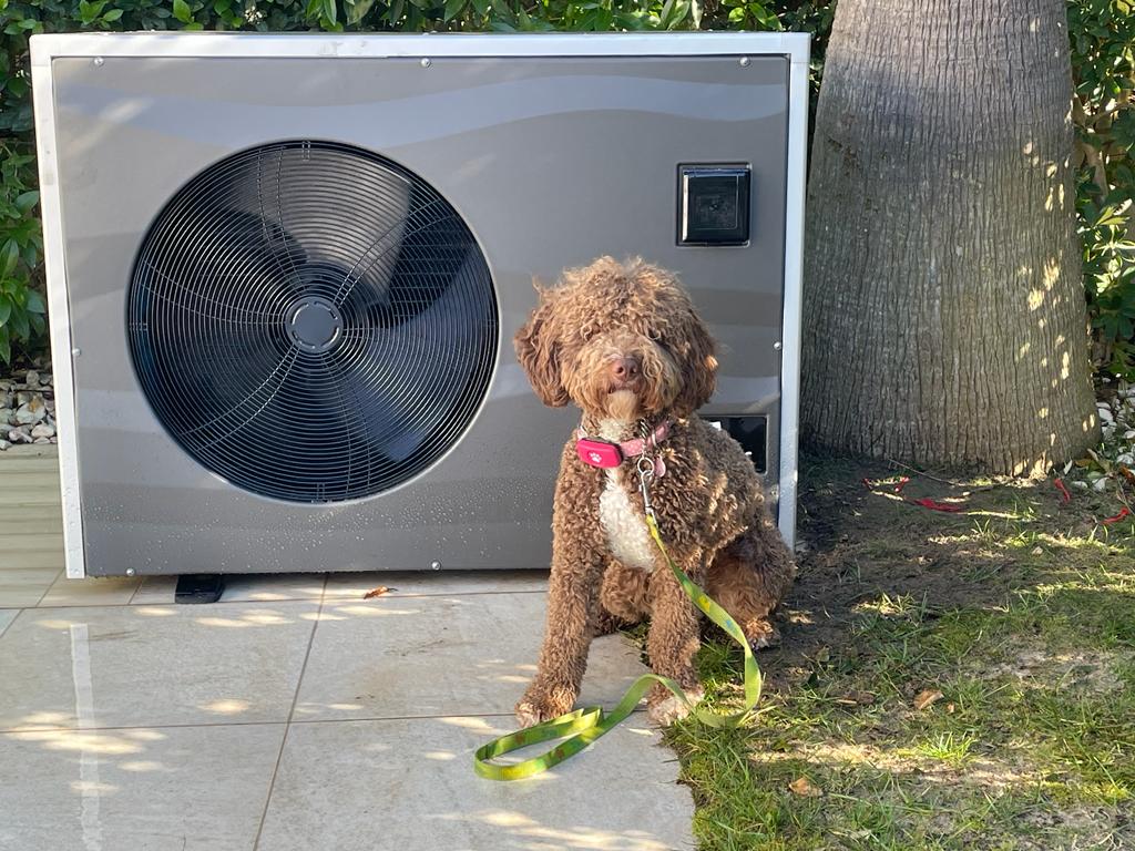 Pool Heat Pumps - 5 Pros and Cons